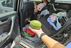 肇事司机 吃瓜群众,一场舆论风暴的较量”