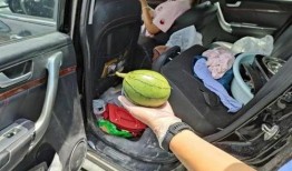 肇事司机 吃瓜群众,一场舆论风暴的较量”