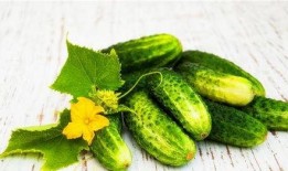 带你吃瓜词语有哪些