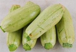 怎么能快速吃瓜