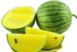 瓜哥吃瓜奇葩商品图片,盘点那些令人瞠目结舌的奇葩商品