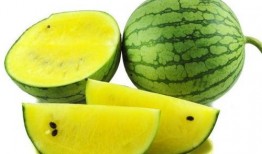 瓜哥吃瓜奇葩商品图片,盘点那些令人瞠目结舌的奇葩商品