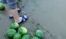 晚餐河边吃瓜,瓜香四溢的晚餐时光