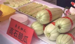 金香玉小蓝瓜怎么吃,金香玉小蓝瓜的多样食法探索