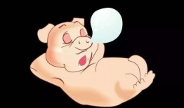 吃瓜直播间猪,猪的趣味日常揭秘