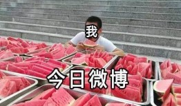 吃瓜营生,网络时代下的娱乐产业新风向