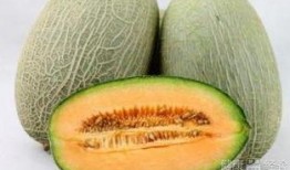 吃哈密瓜溃疡,哈密瓜溃疡成因与防治策略解析