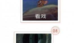 吃瓜看戏动态