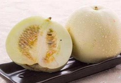 喝酒吃白兰瓜