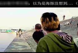 吃瓜是生物本能