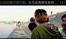 吃瓜是生物本能