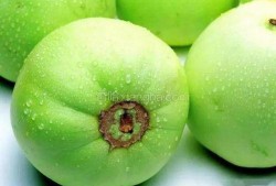 儿子吃梨瓜文案,甜蜜滋味，亲子时光的美好见证