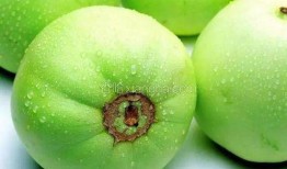 儿子吃梨瓜文案,甜蜜滋味，亲子时光的美好见证