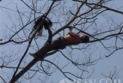 男生爬树吃瓜,男生爬树吃瓜的欢乐时光