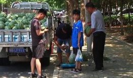 魏县吃瓜群众事件视频曝光,视频曝光揭示惊人真相