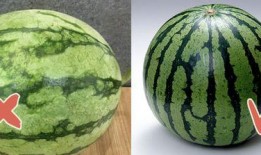 顺藤吃瓜花样图片,探秘花样图片背后的故事