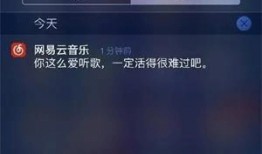 网易云歌单吃瓜