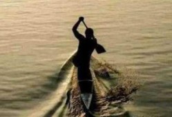 吃瓜逆水行舟,揭秘娱乐圈的生存法则