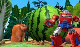 熊吃瓜事件,揭秘动物界的“美食狂欢”