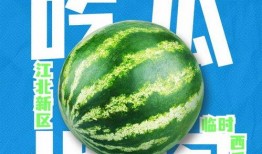 吃瓜综合,吃瓜群众视角下的娱乐圈风云录