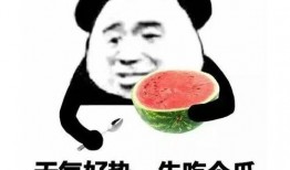 吃瓜表情包教程