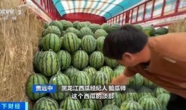 德州乐陵吃瓜,瓜果飘香，品味夏日田园风情