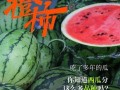 吃瓜群众的口碑不好
