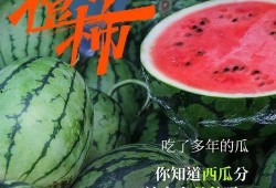 吃瓜群众的口碑不好