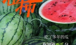 吃瓜群众的口碑不好