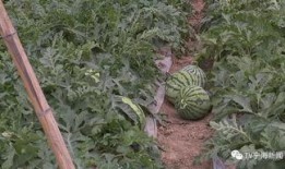 吃瓜群众上线医院,揭秘医疗现场背后的故事