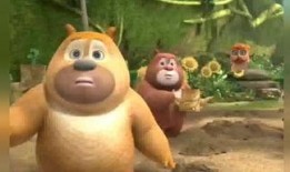 熊吃瓜事件,揭秘动物界的“美食狂欢”