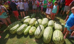 吃瓜新体验,体验不一样的夏日消暑乐趣