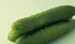 毛瓜可以减肥吃吗怎么吃,如何科学食用毛瓜助力瘦身