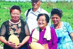 河北教授吃瓜事件