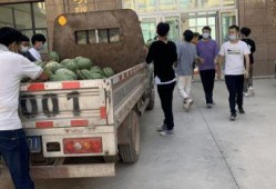 关于学校的吃瓜事件,揭秘校园里的那些“秘密”风波