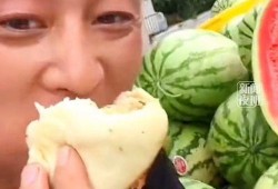 幸苦吃瓜,揭秘幸苦吃瓜背后的甜蜜故事