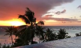 海绵吃瓜菲律宾,菲律宾的欢乐岛国之旅