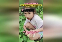 梦见在瓜地里摘瓜吃