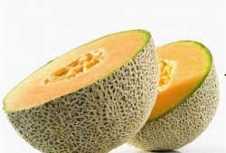 婴儿哈密瓜可以吃吗,哈密瓜的适宜性与食用指南