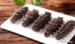 专家吃海参可以吃亚瓜吗,海参与亚瓜的完美搭配