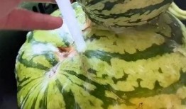 文水吃瓜视频,一场视觉盛宴背后的故事