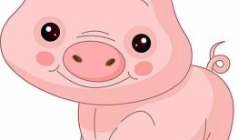 吃瓜直播间猪,猪的趣味日常揭秘