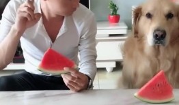 吃瓜吃到露馅,当吃瓜吃到露馅