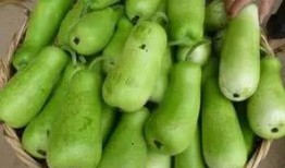如何吃葫芦瓜,营养美味尽在其中