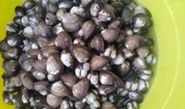 吃瓜挖螺视频,一场视觉与味蕾的双重盛宴