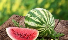 小西瓜在吃瓜,小西瓜的甜蜜瓜趣之旅