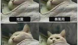 吃瓜是生物本能