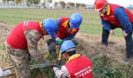 小哥吃瓜速度,一小时内消化海量娱乐圈新闻