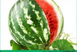 夏天吃瓜有什么忌讳,揭秘四大忌讳