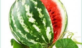 夏天吃瓜有什么忌讳,揭秘四大忌讳